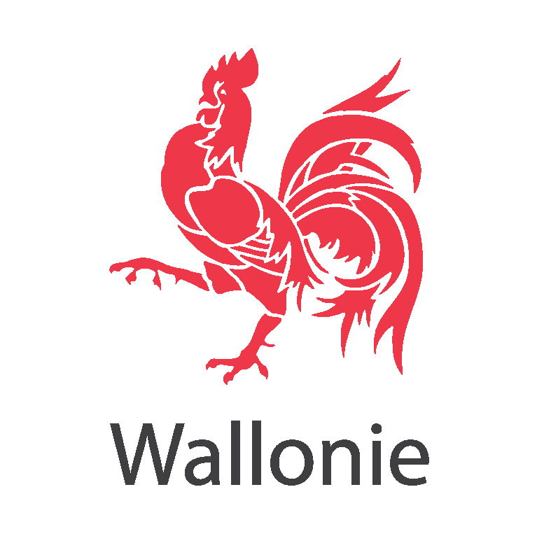 Logo Région Wallonne